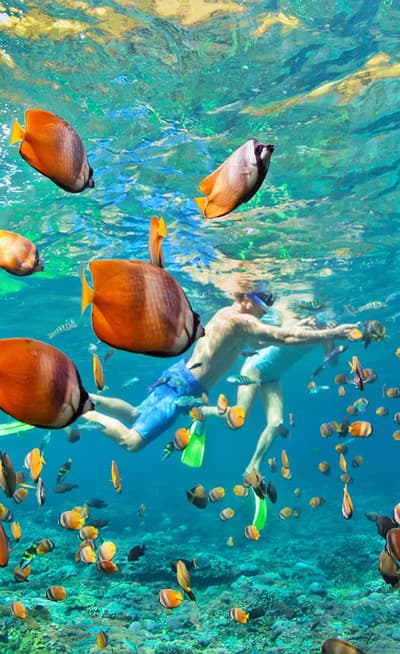 Snorkeling