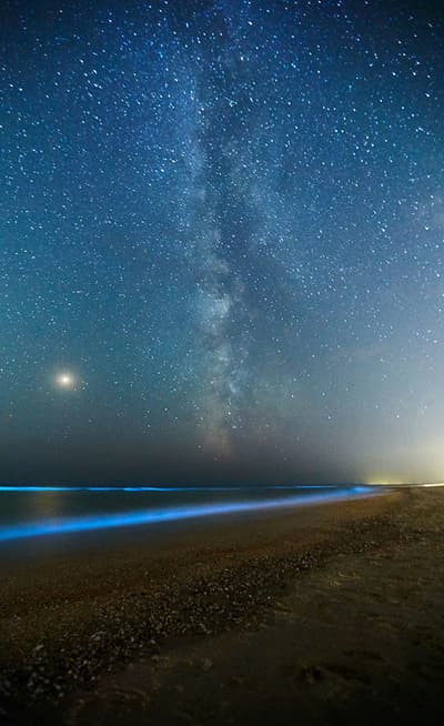 Les plages phosphorescentes