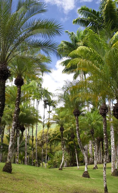 Le Jardin de Balata