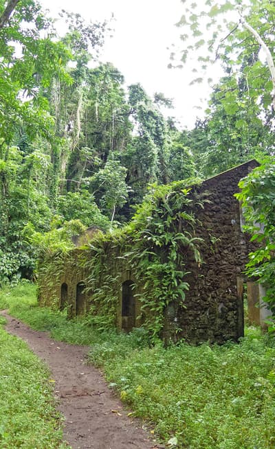 La randonnée allant de l’Anse Couleuvre à Grand-Rivière