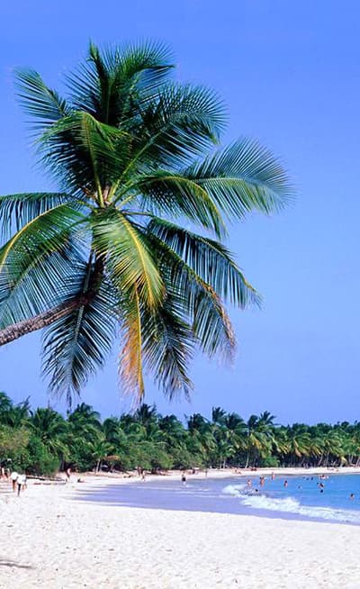 Plage des Salines