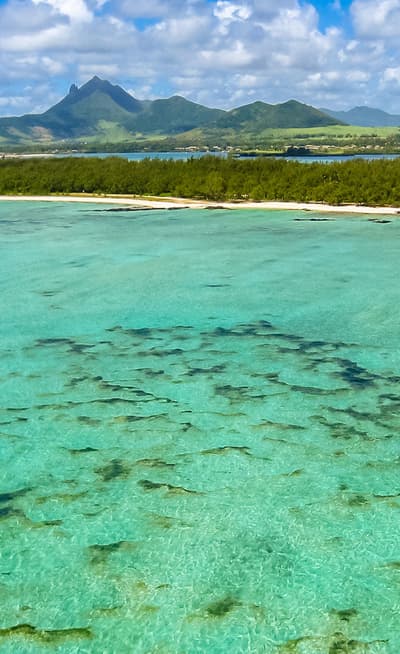 L'Île aux cerfs