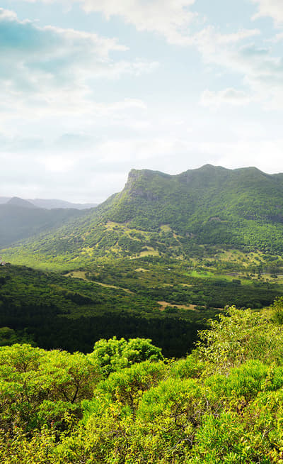 Le parc national des gorges de la Rivière Noire