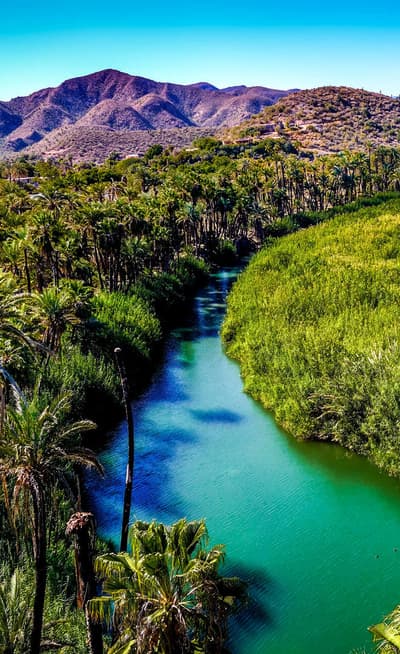 La Basse Californie