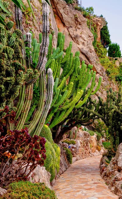 Le jardin exotique