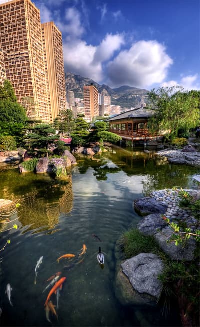 Le jardin japonais