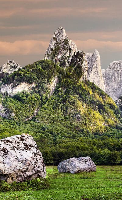 Cetinje