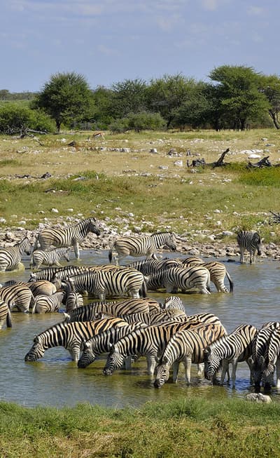 Etosha