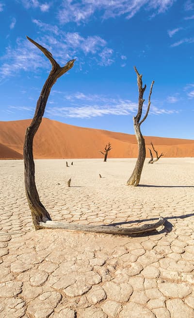 Le Désert du Namib