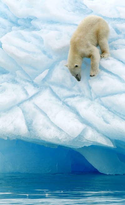 Les îles du Svalbard