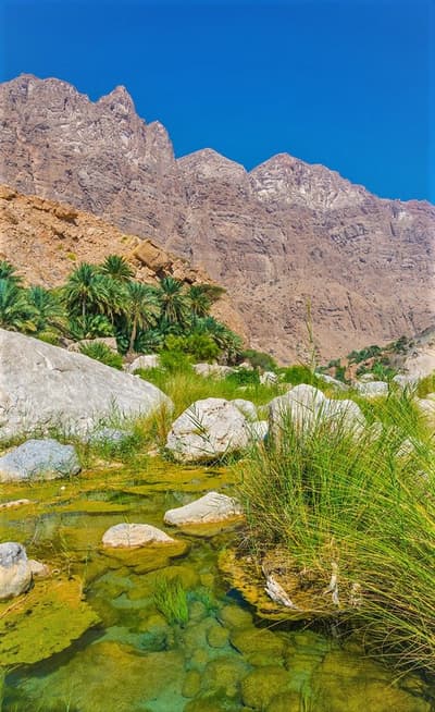 Wadi Tiwi