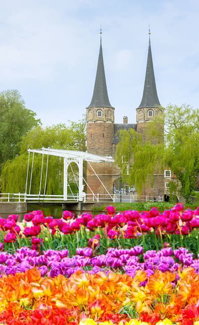 Delft