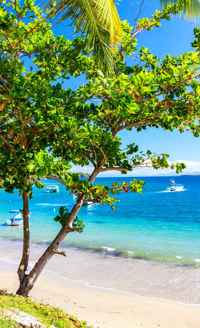 La presqu'île de la Samana