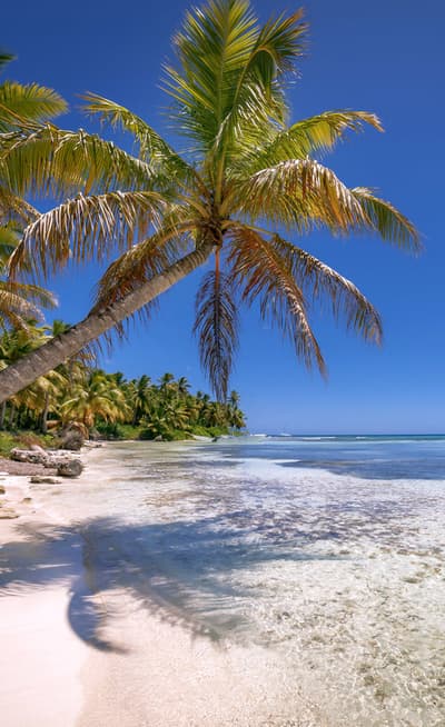 Isla Saona