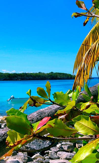 L'île de Catalina