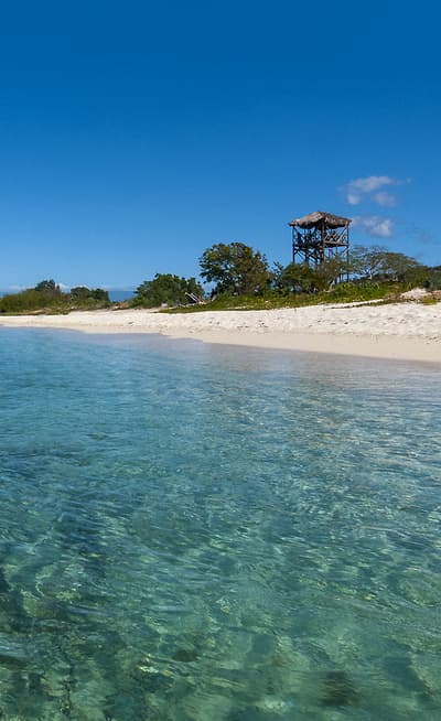 Pedernales