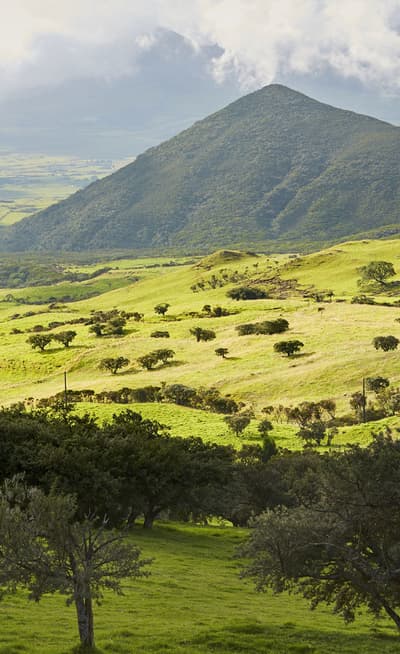 La plaine des Cafres