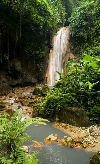 Millet Bird Sanctuary and Nature Trail