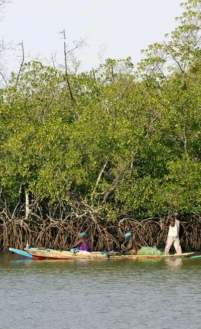 Sine-Saloum