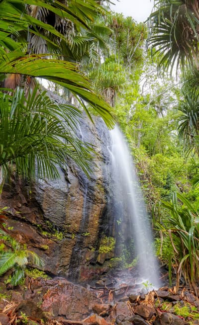 La Vallée de Mai