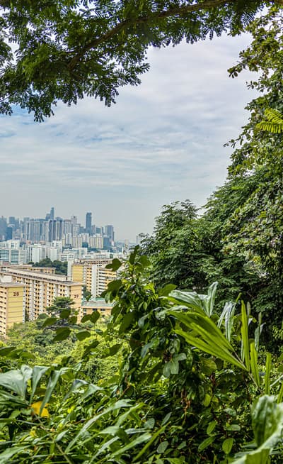 Mount Faber Park