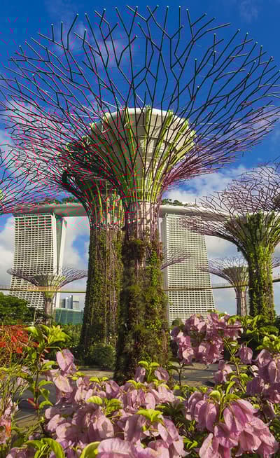 Gardens by the bay