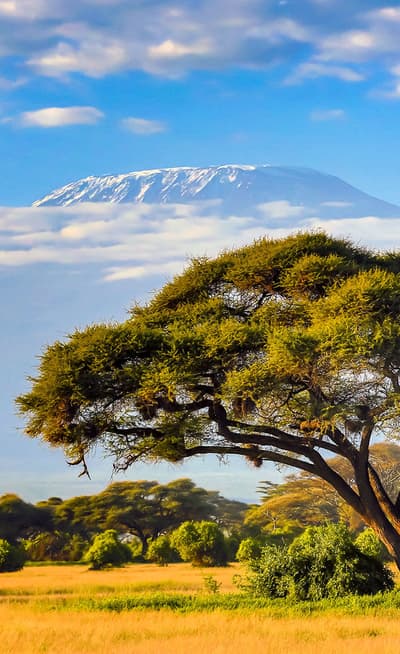 Le mont Kilimandjaro
