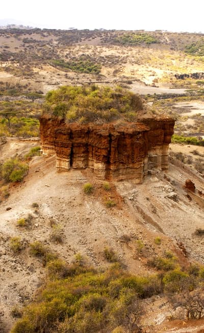 Les Gorges d'Olduvai