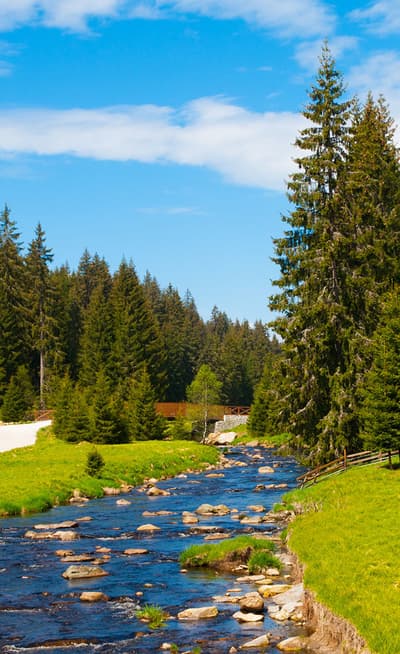 Le parc national de Sumava