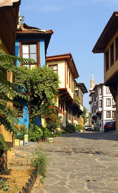 Bursa