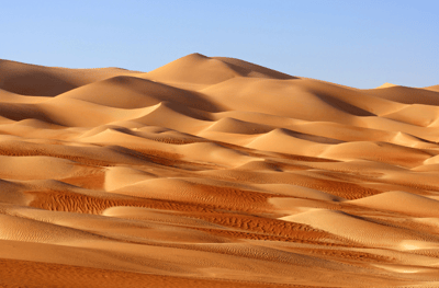 Le Quart Vide