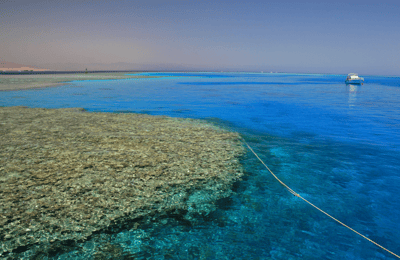 Le projet RED SEA