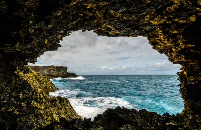 Animal Flower Cave
