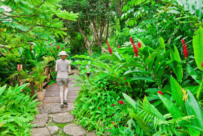 Les jardins d’Andromeda et de Hunte