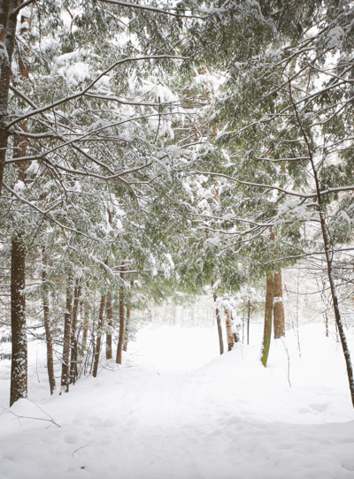 Le parc de la Gatineau