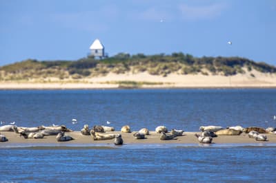 Parc national de la mer des Wadden
