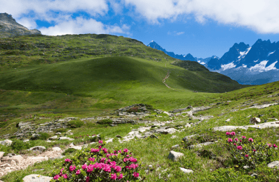 Les Alpes Françaises