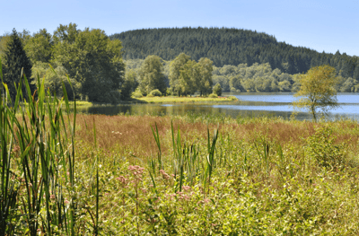 Le Parc Naturel Régional du Morvan