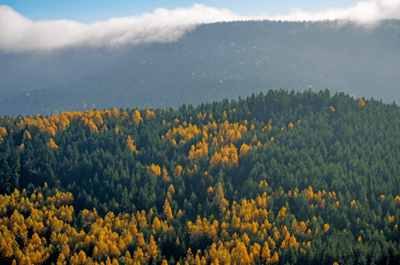 Le Parc Naturel Régional des Vosges du Nord