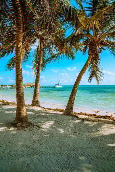 Ambergris Caye