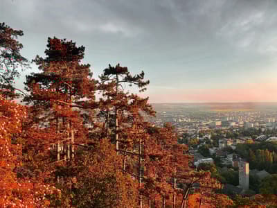 Pécs