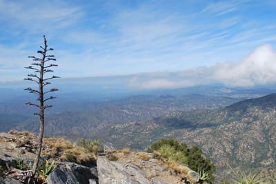 La Sierra La Laguna