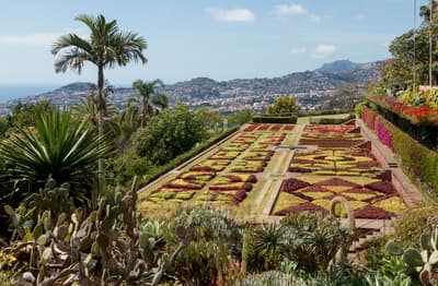 Visite des jardins botaniques de Funchal