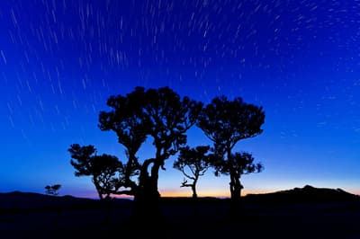 Observation des étoiles à Paul da Serra