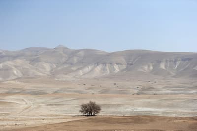 La vallée du Jourdain