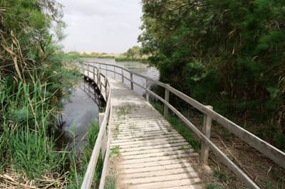 La Réserve humide d'Azraq