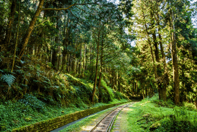 Alishan