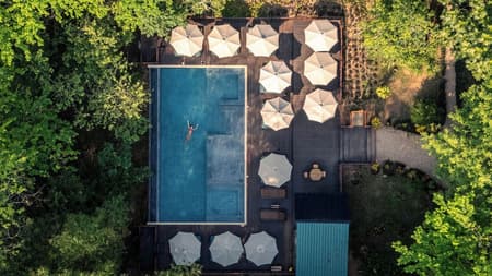 Sweet Songs Jungle Lodge