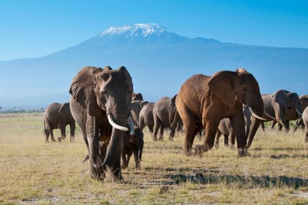 Du royaume des éléphants à l'océan indien