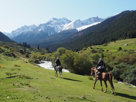 Grande transhumance printemps